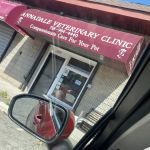 Annadale Veterinary Clinic