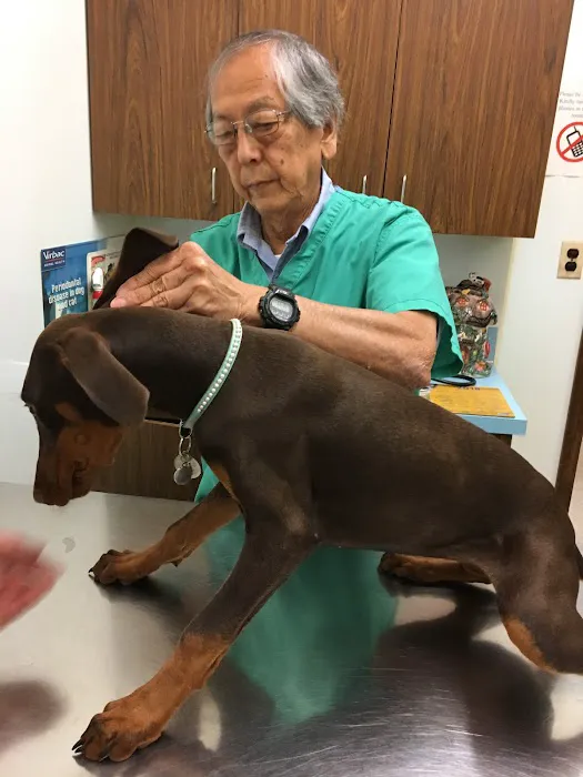 Annadale Veterinary Clinic Picture 4