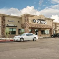 Market Street PET DEPOT ico