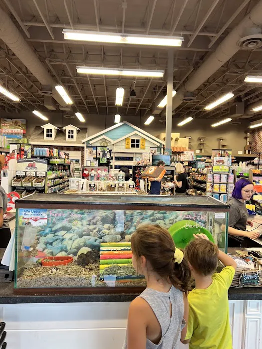 Market Street PET DEPOT Picture 2