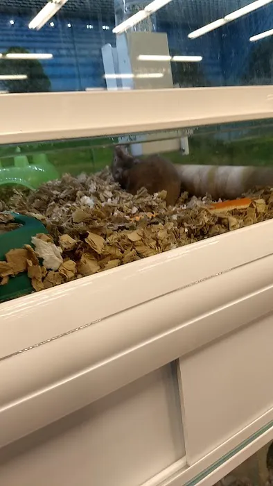Market Street PET DEPOT Picture 4