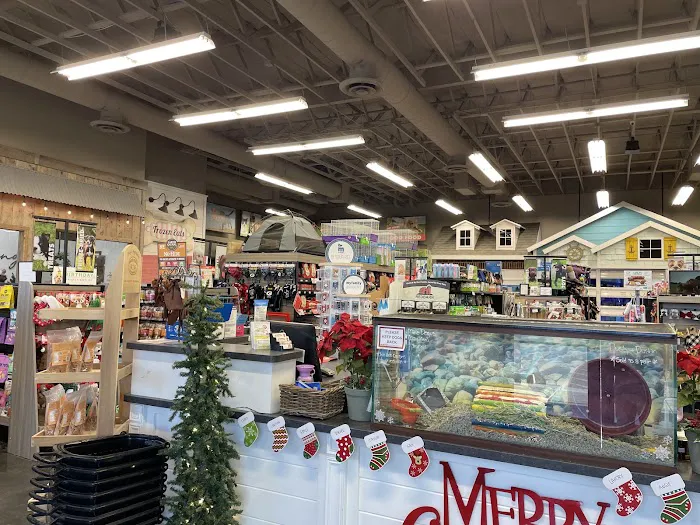 Market Street PET DEPOT Picture 5