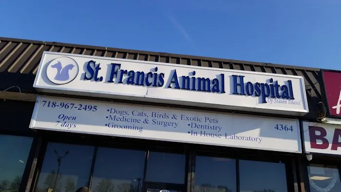 St Francis Animal Hospital Picture 5
