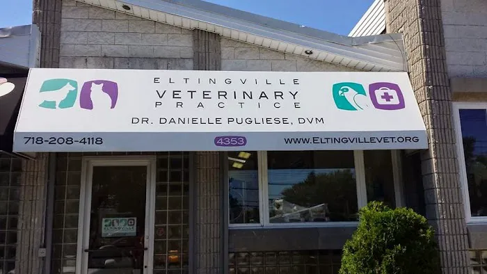 Eltingville Veterinary Practice Picture 1