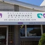 Eltingville Veterinary Practice