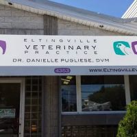 Eltingville Veterinary Practice ico