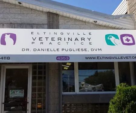 Eltingville Veterinary Practice