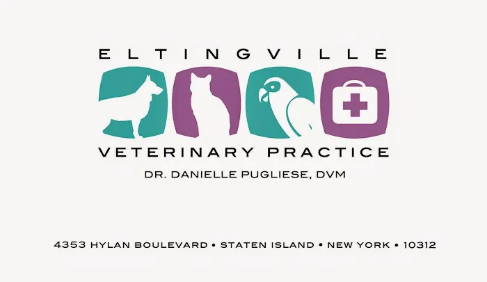 Eltingville Veterinary Practice Picture 10