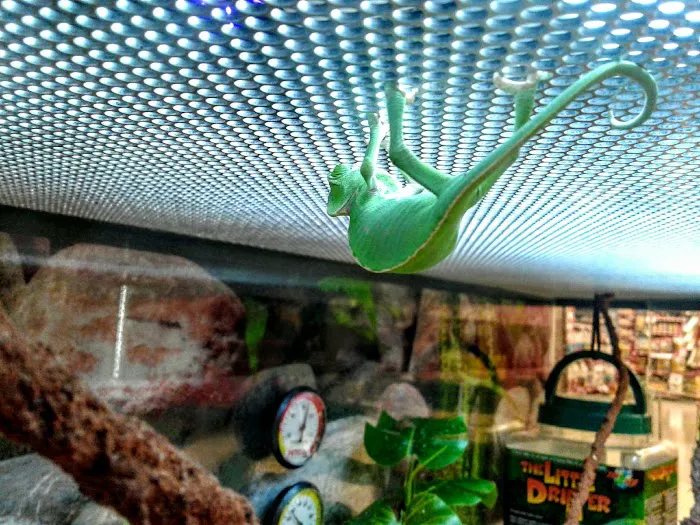 Petco Picture 2