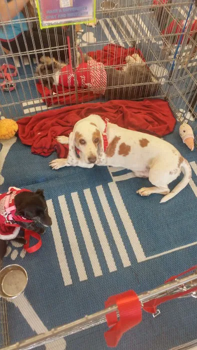 Petco Picture 5