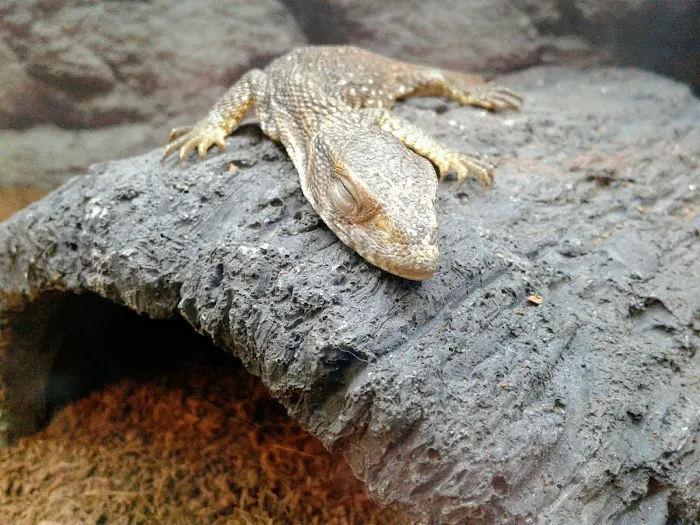 Petco Picture 4