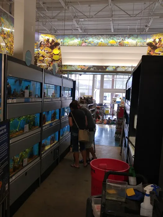 Petco Picture 8
