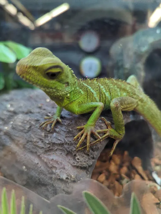Petco Picture 6
