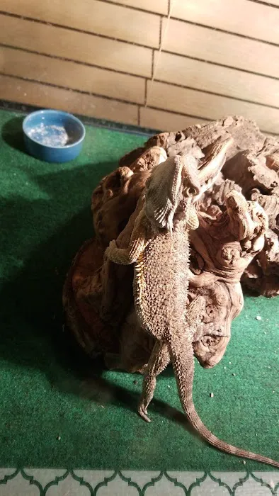 Petco Picture 9