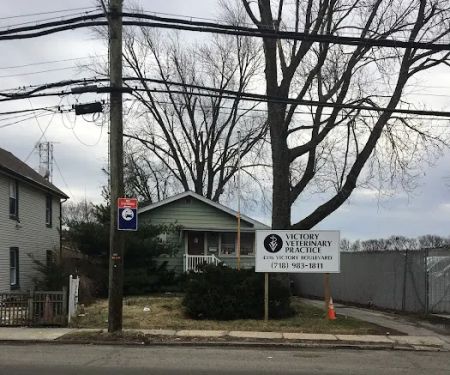 Victory Veterinary Practice