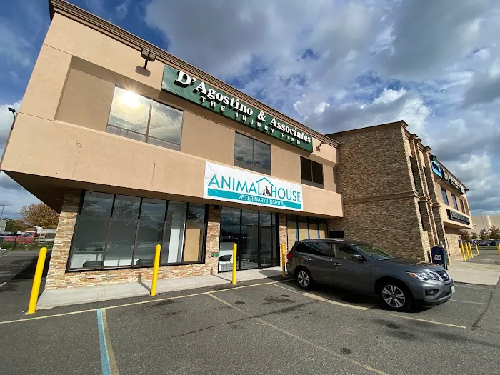 Animal House Veterinary Hospital Picture 3