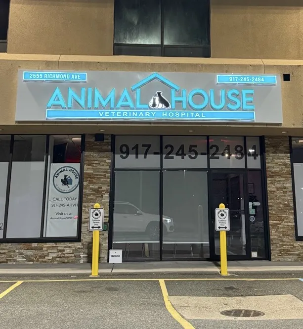 Animal House Veterinary Hospital Picture 6