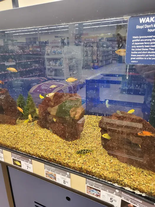 Petco Picture 1