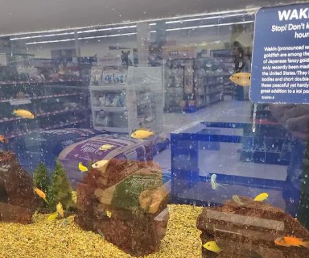 Petco