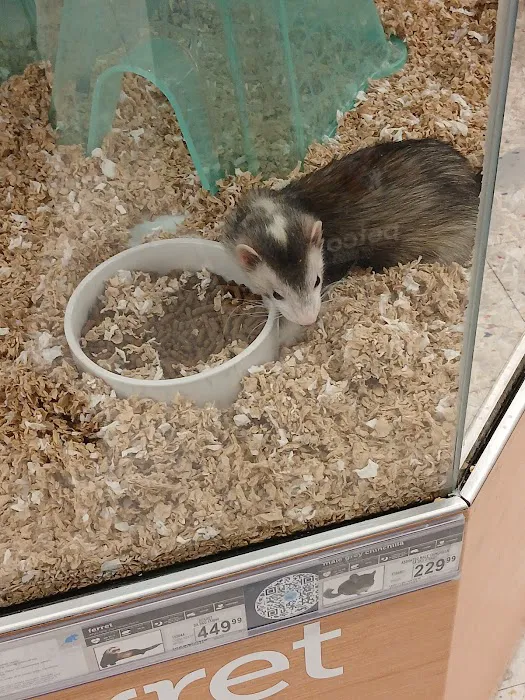 Petco Picture 6
