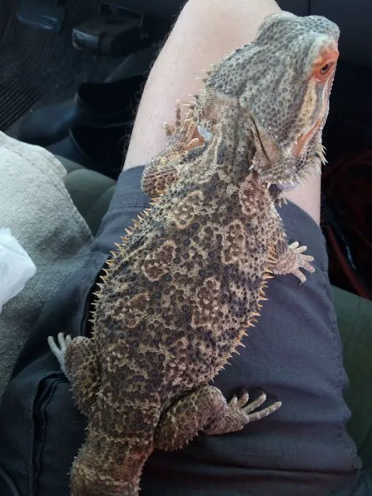 Petco Picture 4