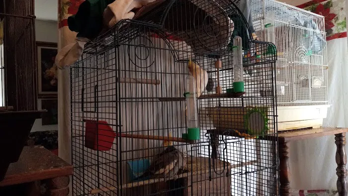 Petco Picture 7