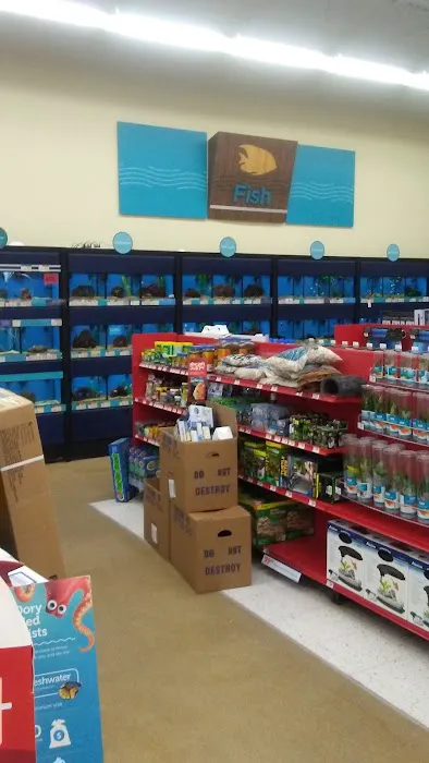 Petco Picture 9