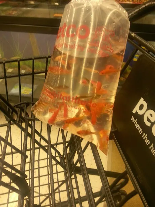 Petco Picture 10