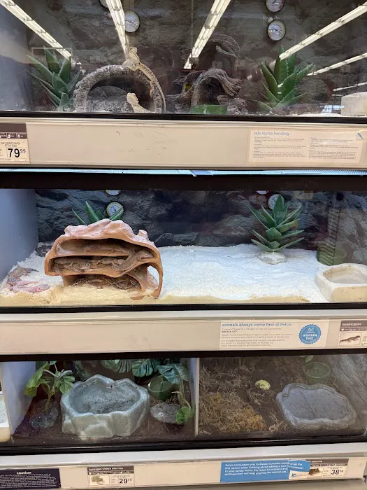 Petco Picture 8