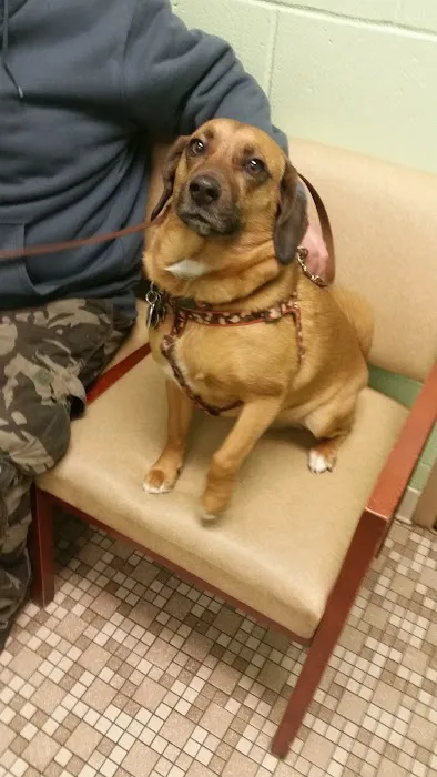 Brunswick Veterinary Hospital Picture 3