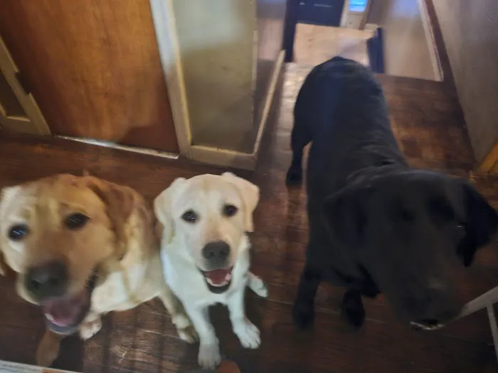 Brunswick Veterinary Hospital Picture 4