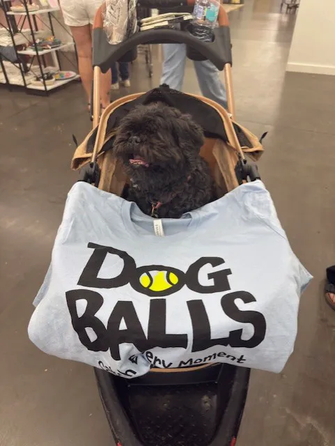 Dog Balls Picture 3