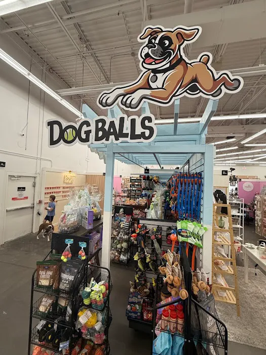 Dog Balls Picture 2