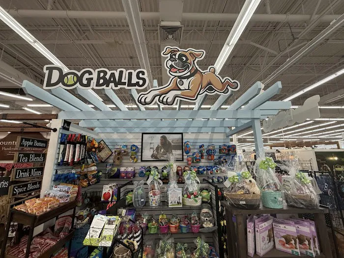 Dog Balls Picture 6