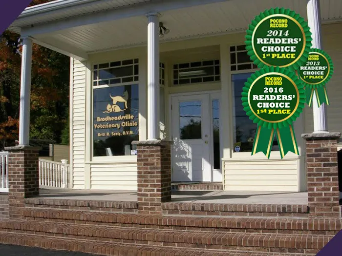 Brodheadsville Veterinary Clinic Picture 3