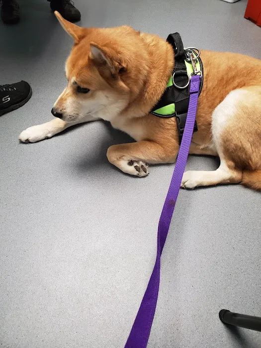 Brodheadsville Veterinary Clinic Picture 7