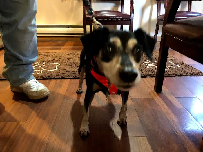 Kanyon's Golden Veterinary Care, LLC Picture 10