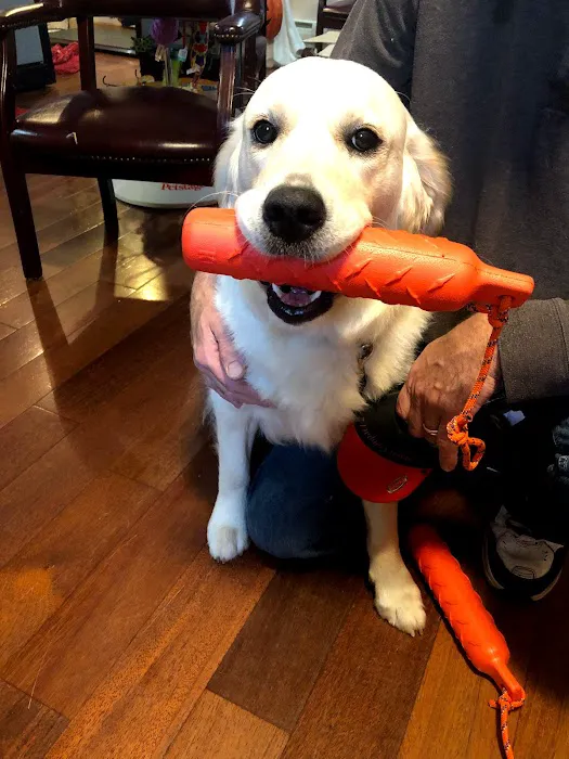 Kanyon's Golden Veterinary Care, LLC Picture 8