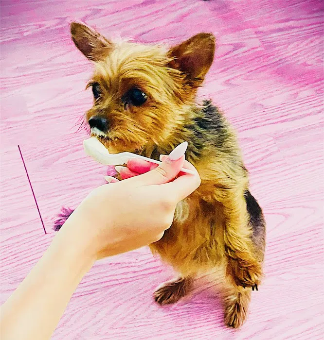Best Friends Veterinary Clinic Picture 3