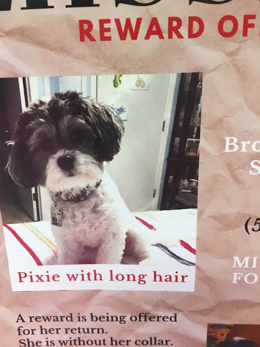 Best Friends Veterinary Clinic Picture 6