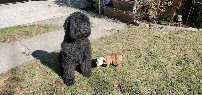 Best Friends Veterinary Clinic Picture 5