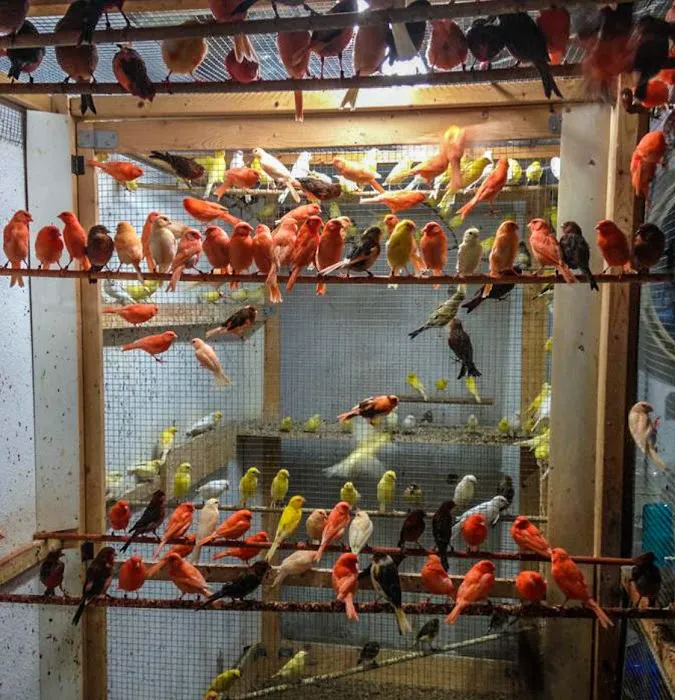 Exotic Bird Aviary Picture 3