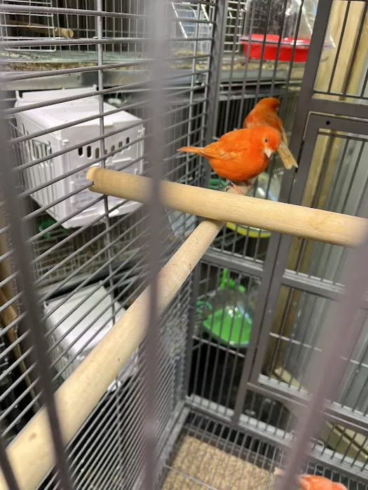 Exotic Bird Aviary Picture 2