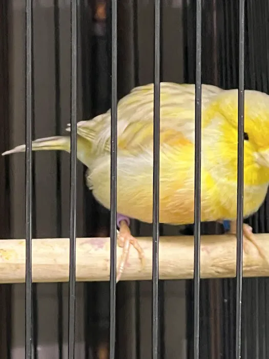 Exotic Bird Aviary Picture 7