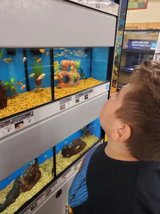 Petco Picture 1