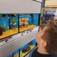 Petco ico