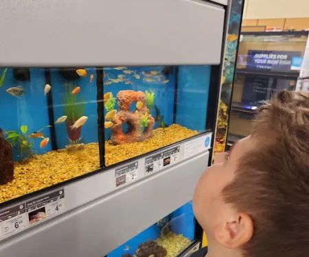 Petco