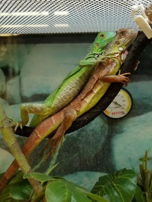 Petco Picture 2