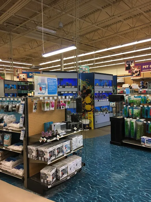 Petco Picture 5