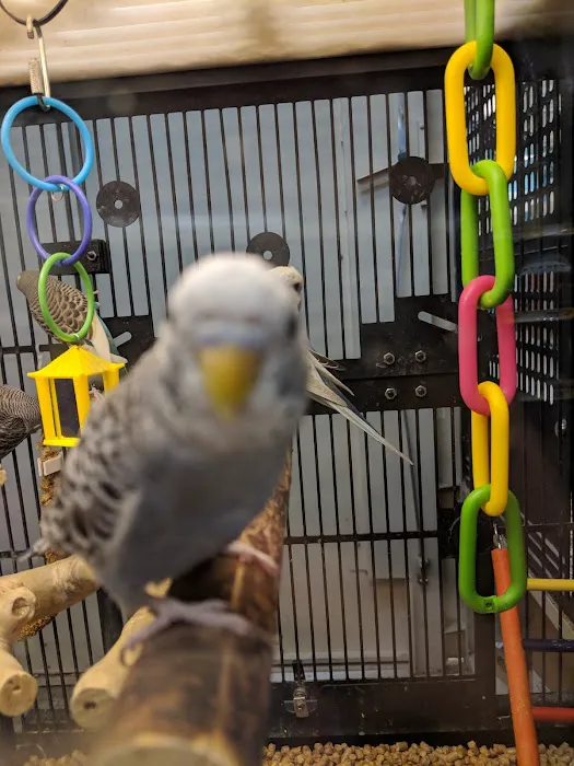 Petco Picture 8